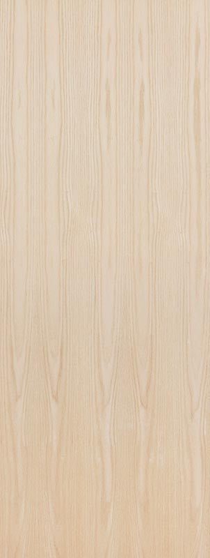 Birch (Paint grade veneer) Flush wood door