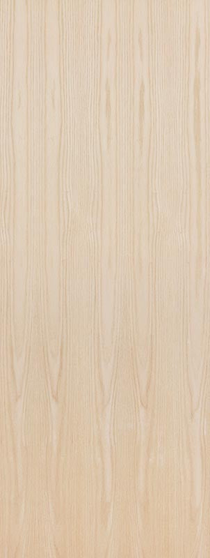 Birch (Paint grade veneer) Flush wood door